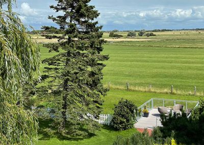 Ausblick auf den Wiesen von der Ferienwohnung