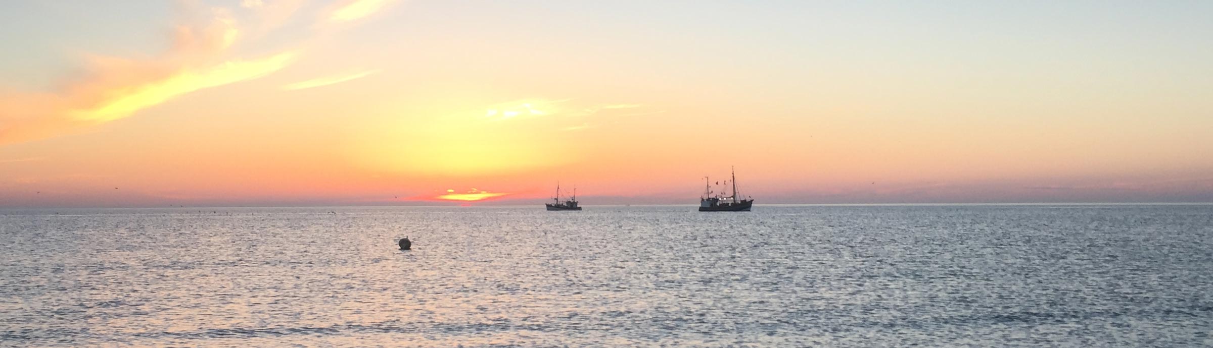 Ferienwohnungen Haubarg & Remise St. Peter-Ording